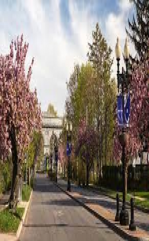 Enrollment Advisory Group - University of Bridgeport